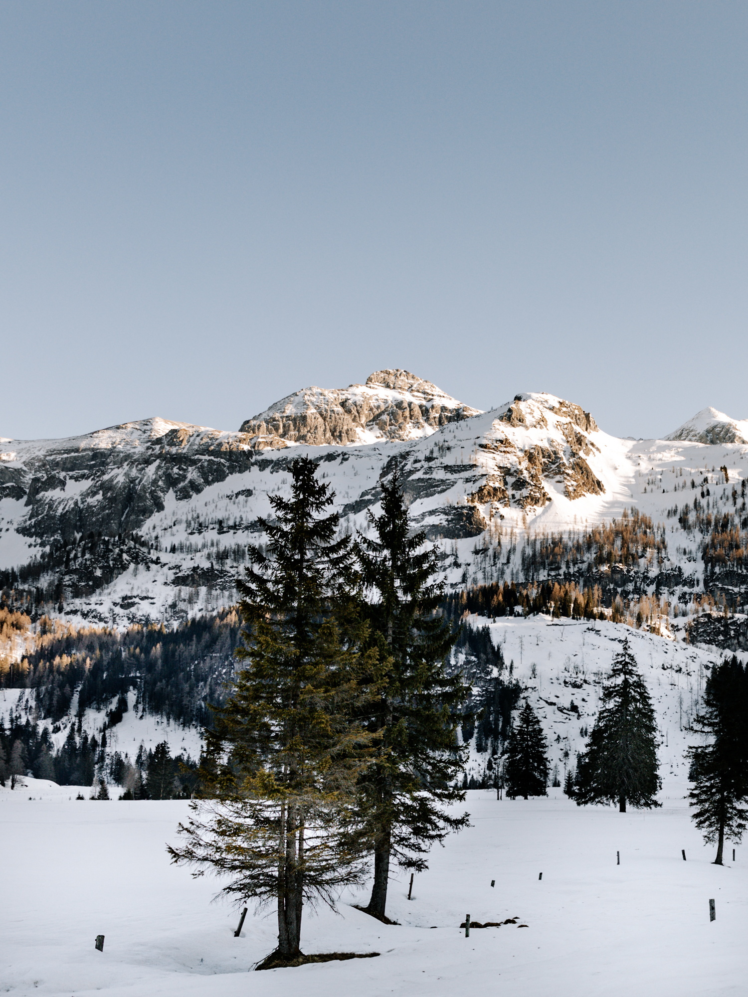 Gnadenalm in Obertauern. Bergpanorama mit Schnee und Bäumen