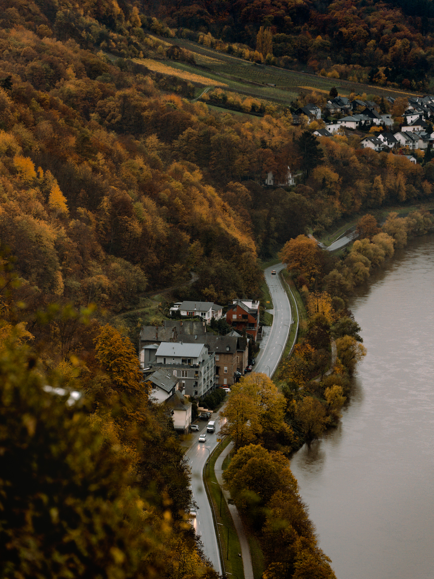 Ausblick auf die Mosel von der Ruine Landshut